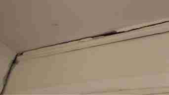 Cracked Molding