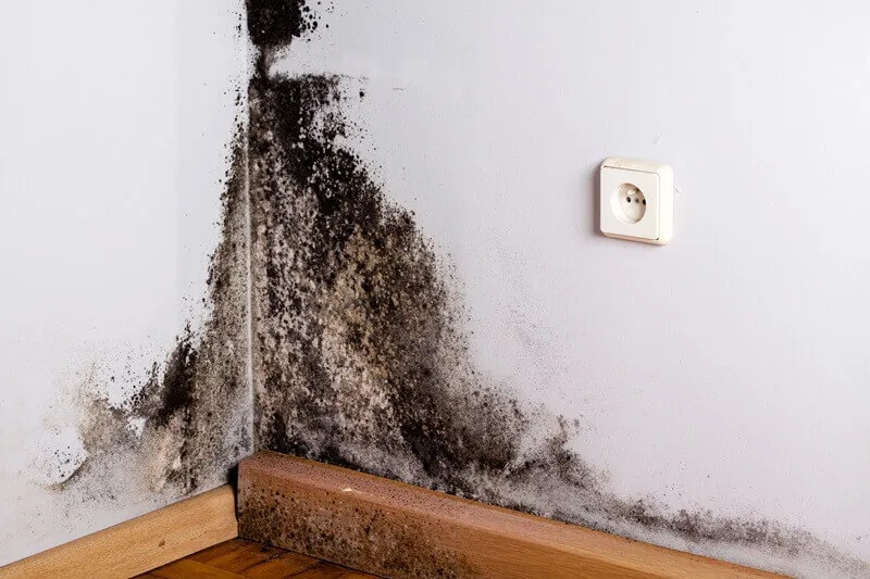 Warrenton Crawlspace Encapsulation & Home Value Benefits