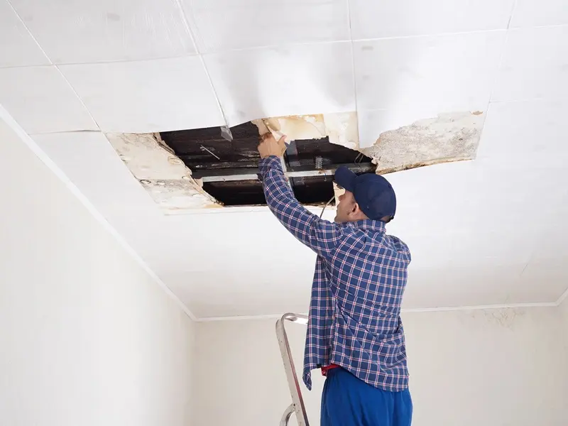 Accurate Roof Leak Detection In Warrenton With Tools Used By Professionals
