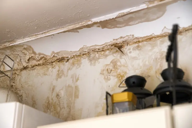 How Early Leak Detection Helps Protect Homes In Virginia