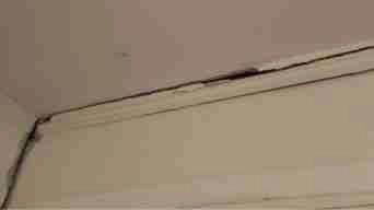 Cracked Molding Repairments With Top Dog Does It All Cracked Molding Repairments With Top Dog Does It All