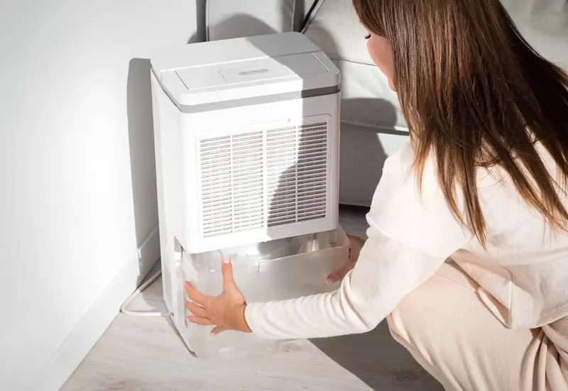 Dehumidifiers For Basement Humidity Control In Warrenton