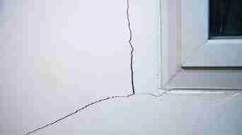 Doors & Windows Sticking With Top Dog Does It All Doors & Windows Sticking With Top Dog Does It All