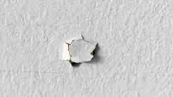 Drywall Nail Pops Repairment Top Dog Does It All Drywall Nail Pops Repairment Top Dog Does It All