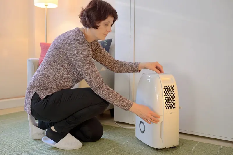 How Dehumidifiers Reduce Basement Moisture In Virginia