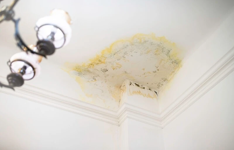 Reliable Leak Detection From Virginia Leak Professional