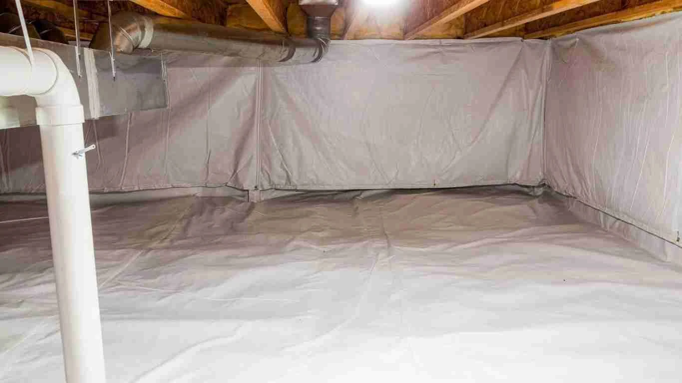 Top Dog Does It All Crawlspace Encapsulation Experts Top Dog Does It All Crawlspace Encapsulation Experts