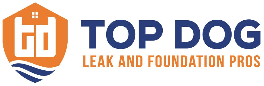 Top Dog Leak & Foundation Pros In VA