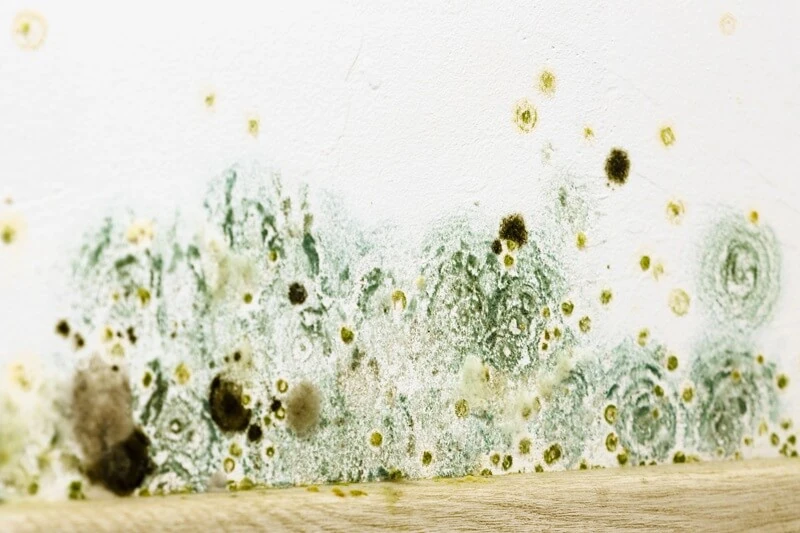 Waterproof Coatings Used In Virginia By Local Professionals